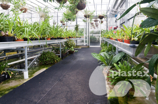 Vynagrip non-slip mat prevents visitors to RHS garden greenhouse nurseries from slipping on wet walkways